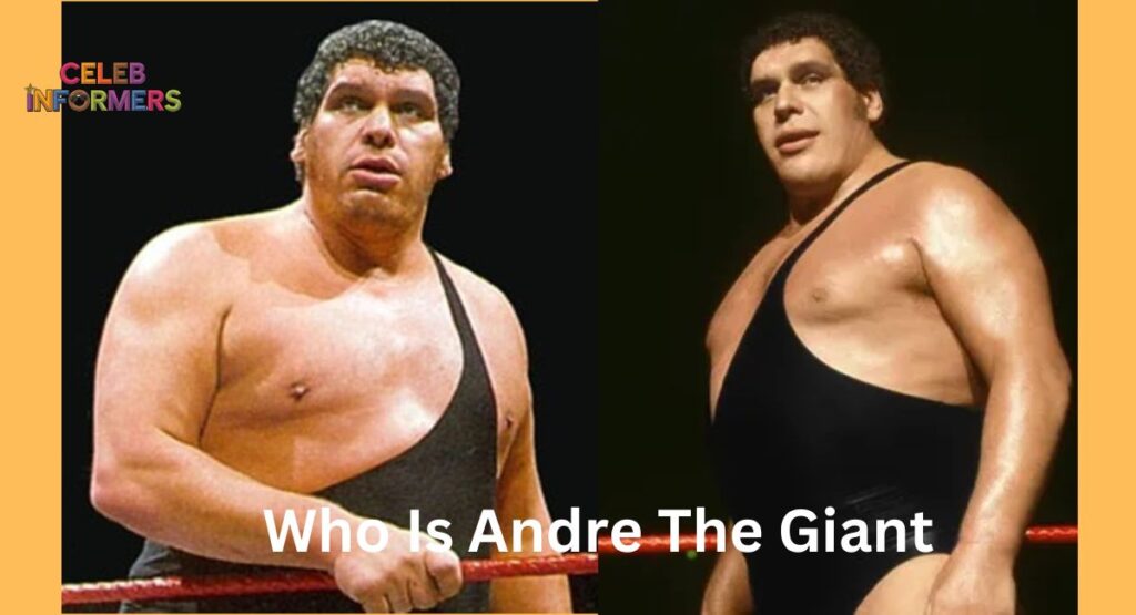 Who Is Andre The Giant?